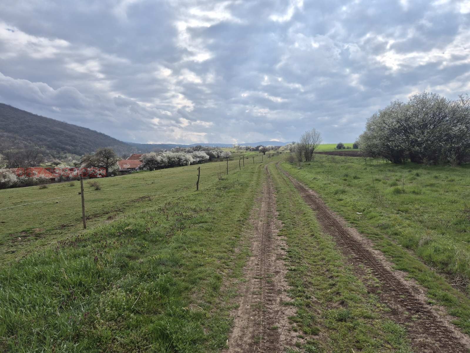 Продава ПАРЦЕЛ, с. Богданлия, област София област, снимка 4 - Парцели - 55428690