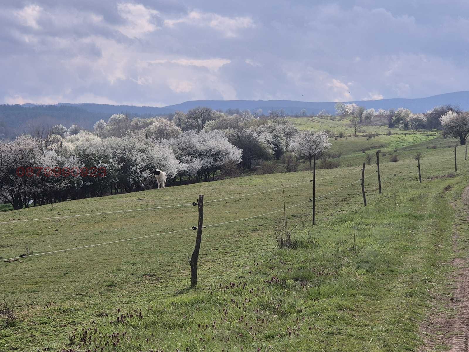 Продава ПАРЦЕЛ, с. Богданлия, област София област, снимка 5 - Парцели - 55428690