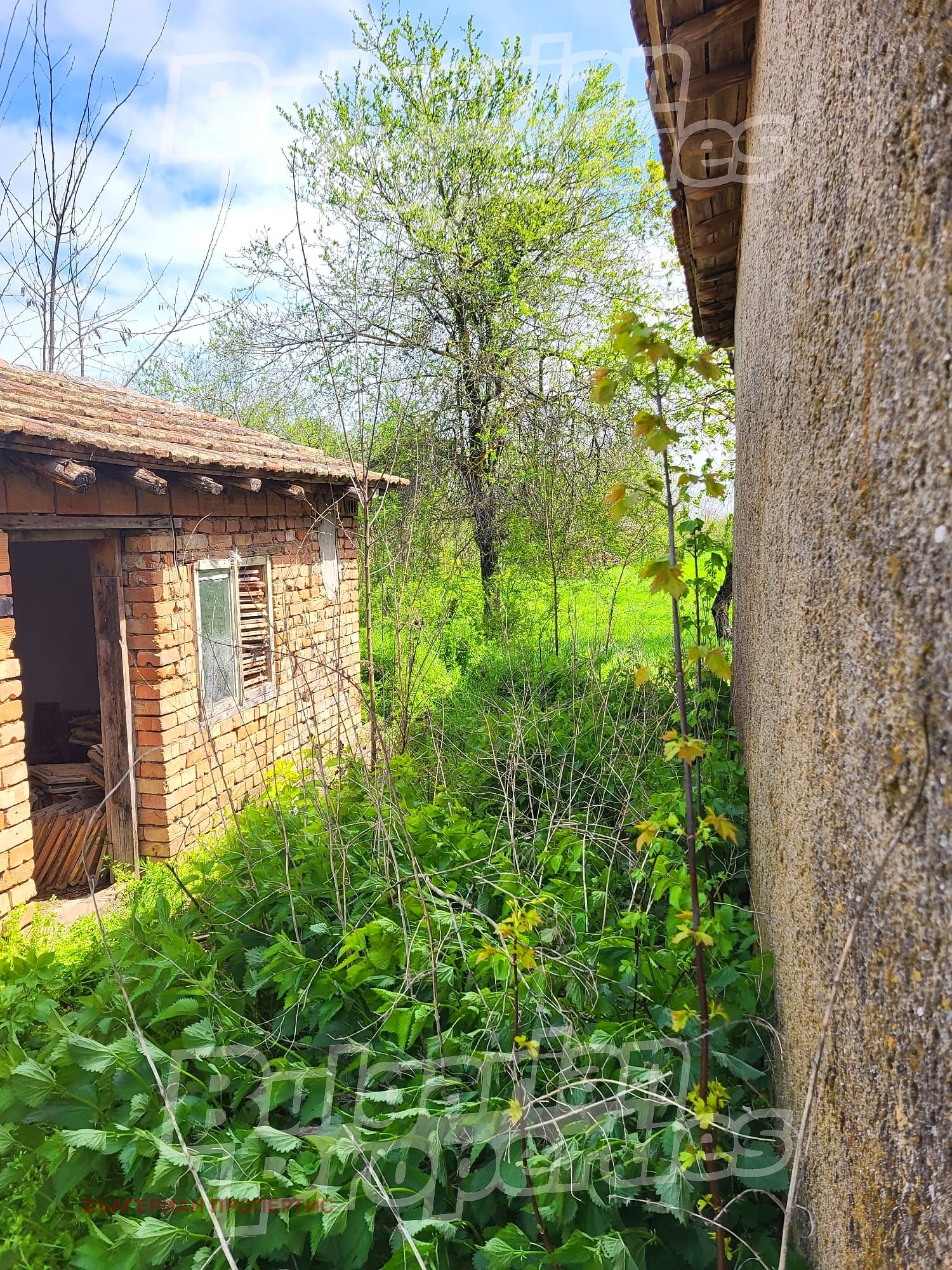 ������� ���� | Imot.bg � ����������� 1
