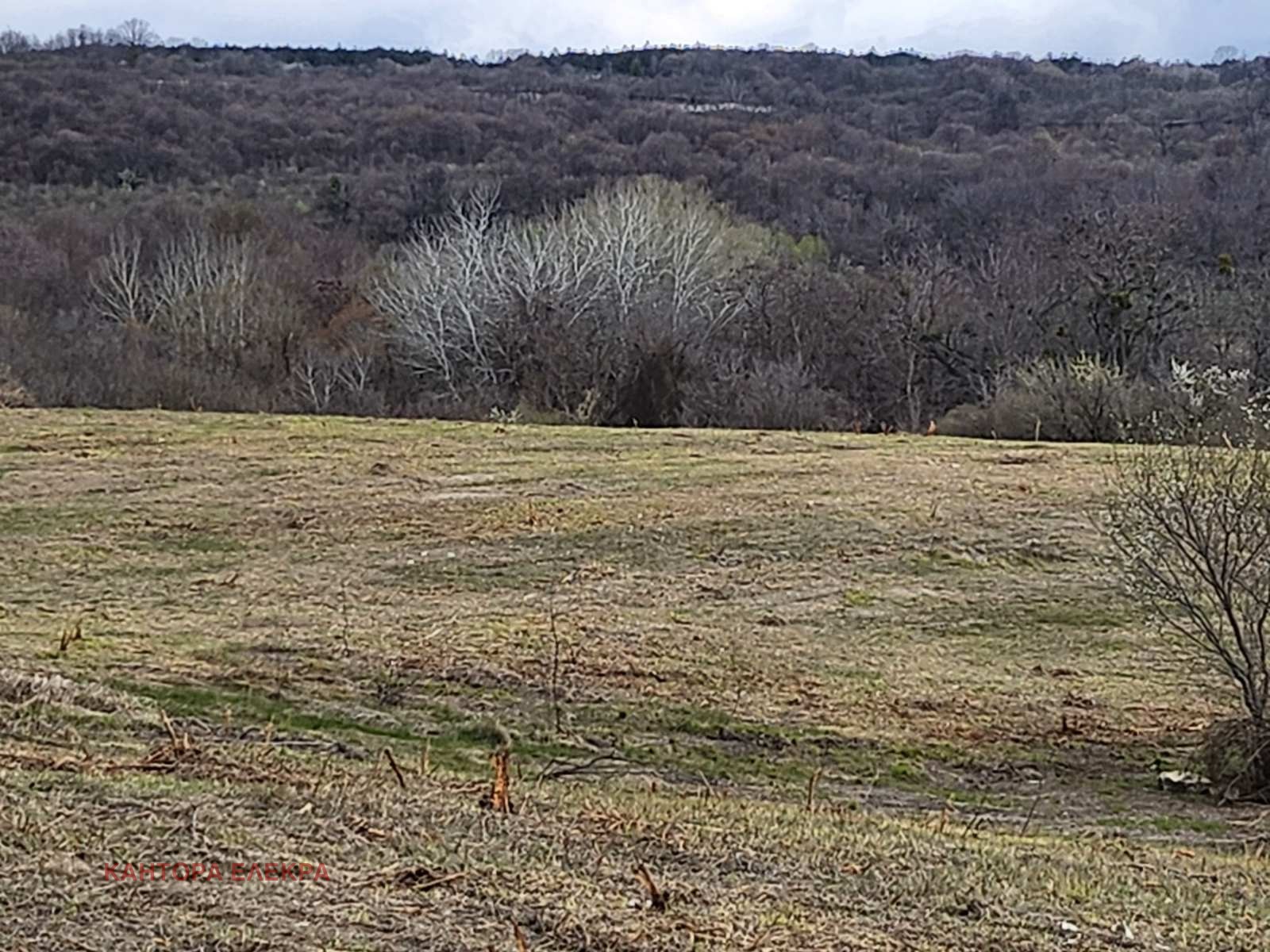 Продава ПАРЦЕЛ | Imot.bg — изображение 10