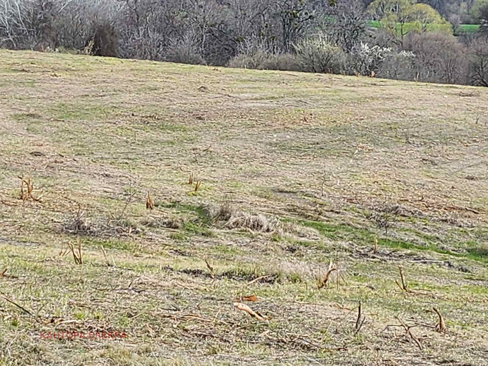 Продава ПАРЦЕЛ | Imot.bg — изображение 9