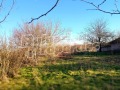 Продава КЪЩА, с. Дъбрава, област Добрич, снимка 10