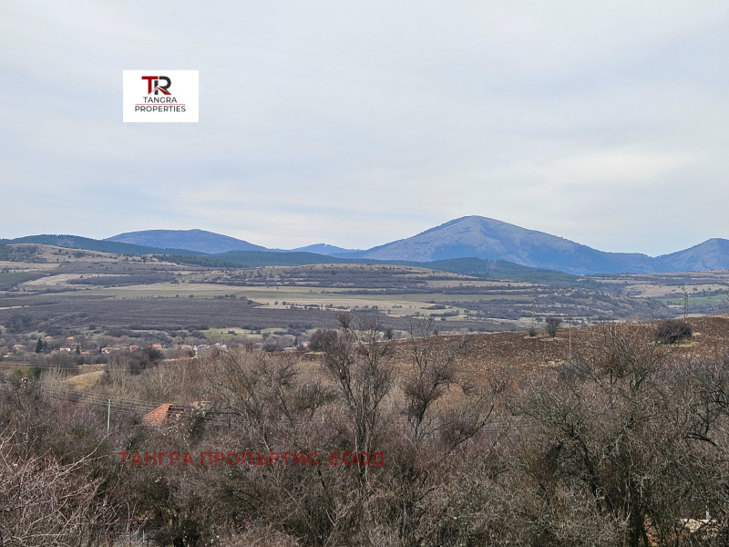 Продава ВИЛА, с. Видрица, област Перник, снимка 5 - Вили - 53475951