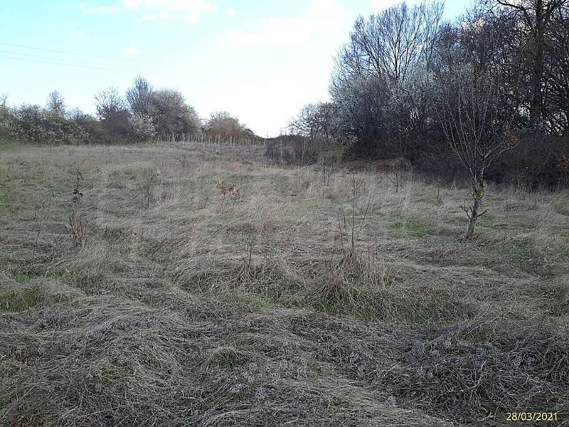 For Sale  Plot region Varna , Bliznatsi , 15000 sq.m | 11609976 - image [5]