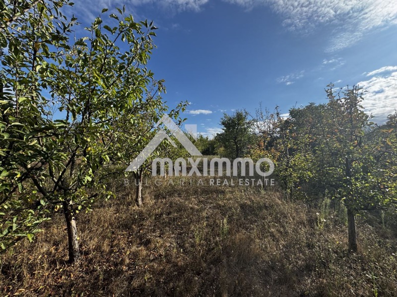 Продава  Парцел област Варна , с. Солник , 766 кв.м | 78717830 - изображение [6]