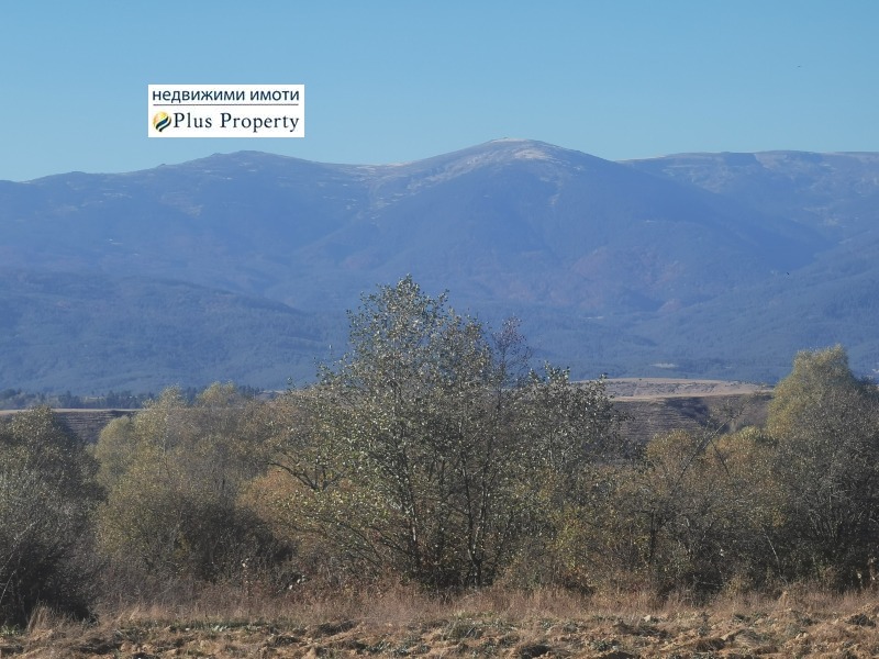 Te koop  Land regio Blagoëvgrad , Banja , 1 dka | 60827518 - afbeelding [11]