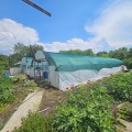 Продава КЪЩА, с. Горна Митрополия, област Плевен, снимка 6