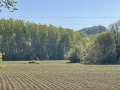 Продава ПАРЦЕЛ, гр. Ловеч, Широк център, снимка 3