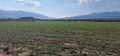 Продава ЗЕМЕДЕЛСКА ЗЕМЯ, с. Баня, област Благоевград, снимка 2