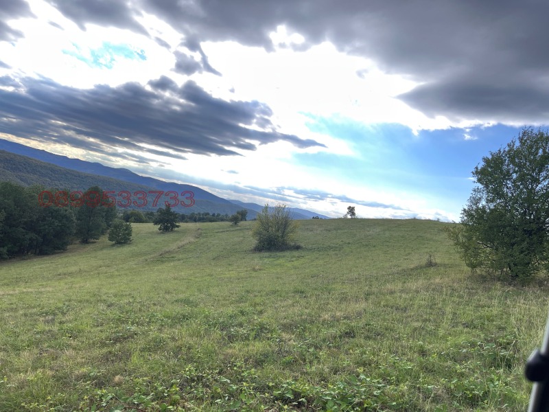 Продава ЗЕМЕДЕЛСКА ЗЕМЯ, гр. Угърчин, област Ловеч, снимка 3 - Земеделска земя - 52783199