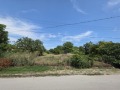 Продава ПАРЦЕЛ, с. Оброчище, област Добрич, снимка 1