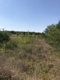 Продава ПАРЦЕЛ, град Русе, ДЗС • 320000 € / 625865.60 лв. • 60019404 4