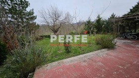 Hus Velika, region Burgas 1
