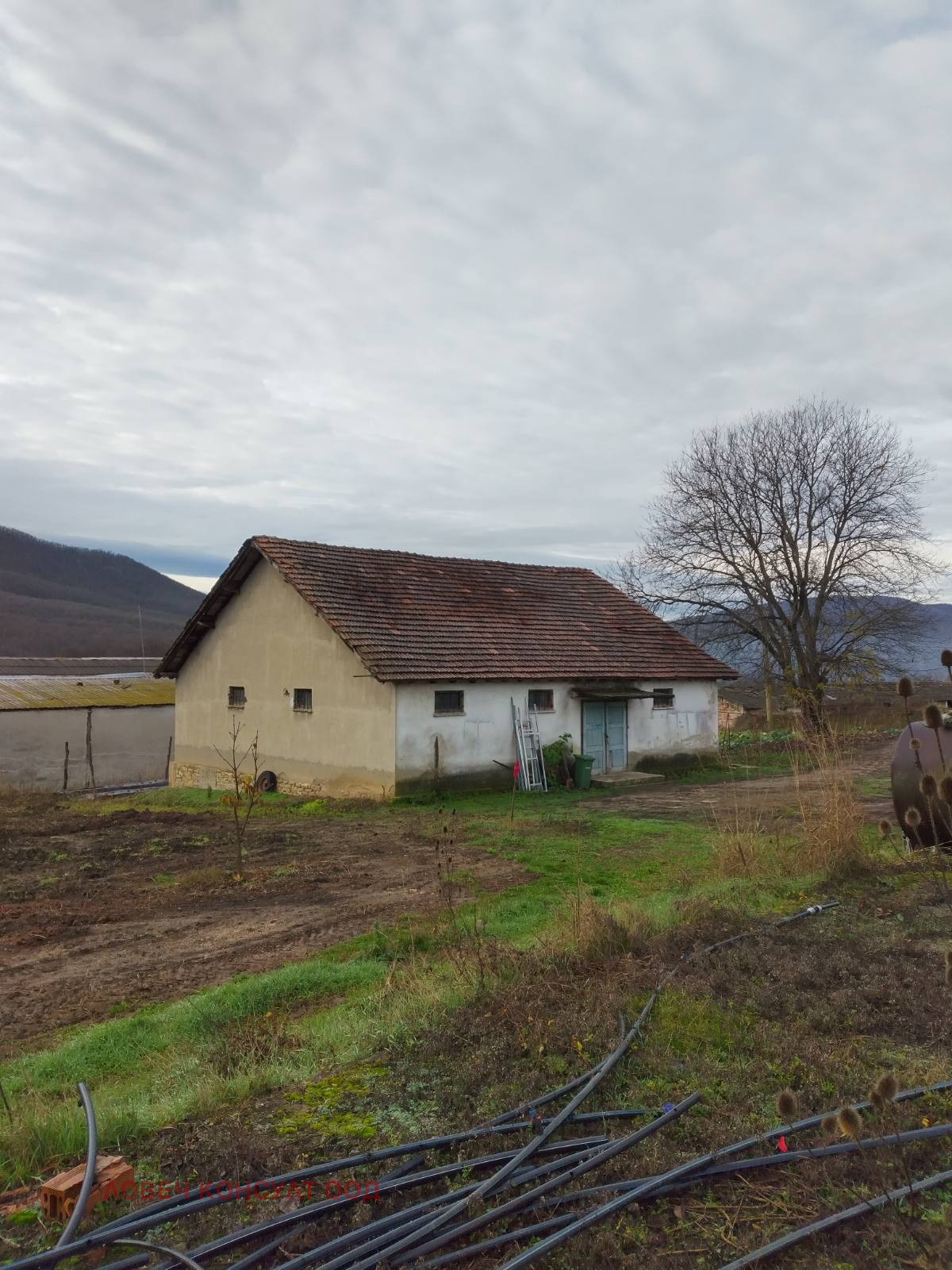 Продава СКЛАД, с. Българене, област Ловеч, снимка 2 - Складове - 52720623