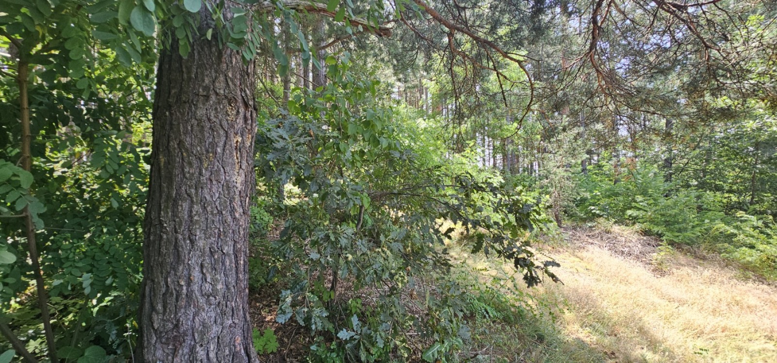 Продава ПАРЦЕЛ | Imot.bg — изображение 3