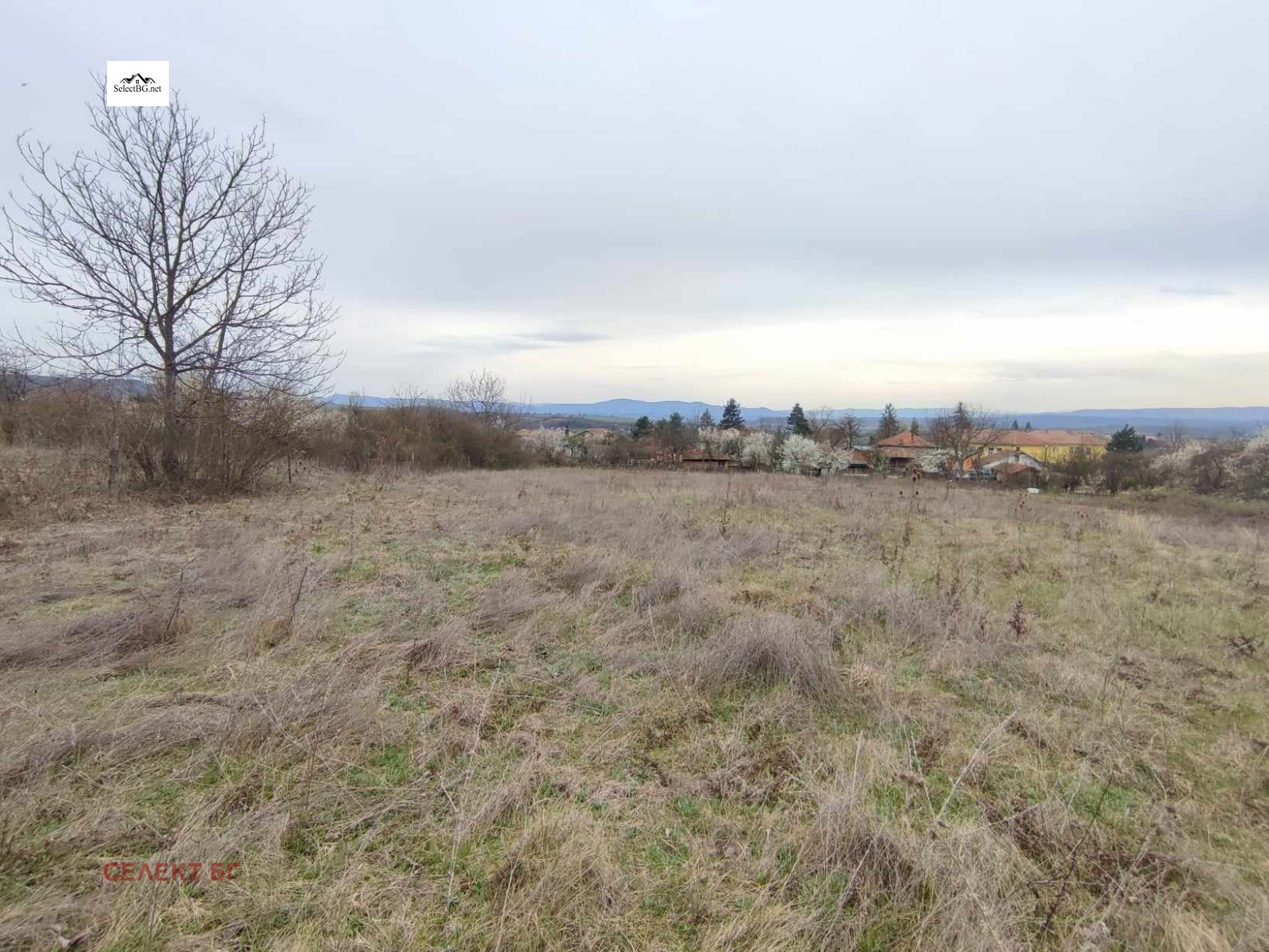Продава ПАРЦЕЛ, гр. Дебелец, област Велико Търново, снимка 2 - Парцели - 42337653