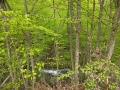 Продава ПАРЦЕЛ, с. Бели Осъм, област Ловеч, снимка 4