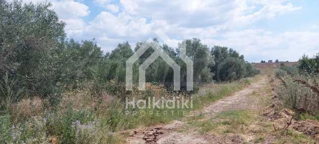 ������� ������ | Imot.bg � ����������� 14