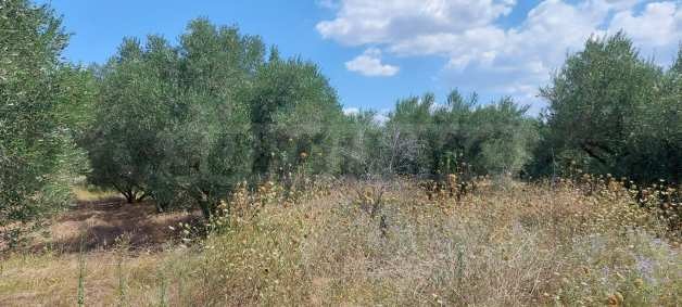 ������� ������ | Imot.bg � ����������� 8