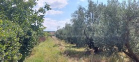 ������� ������ | Imot.bg � ����� ������ 2
