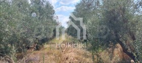 ������� ������ | Imot.bg � ����� ������ 11