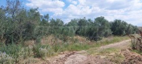 ������� ������ | Imot.bg � ����� ������ 7