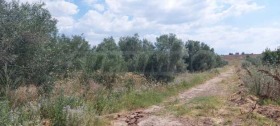 ������� ������ | Imot.bg � ����� ������ 6