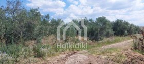 ������� ������ | Imot.bg � ����� ������ 15