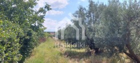 ������� ������ | Imot.bg � ����� ������ 10