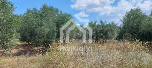 Продава ПАРЦЕЛ, Извън страната, област Извън страната, снимка 16 - Парцели - 54846457