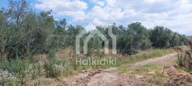 Продава ПАРЦЕЛ, Извън страната, област Извън страната, снимка 15 - Парцели - 54846457