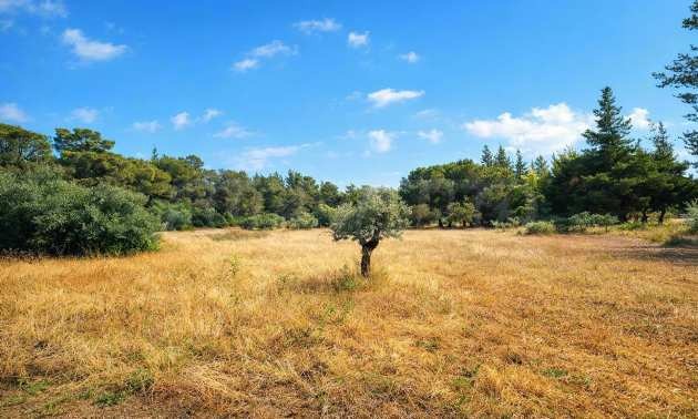 ������� ������ | Imot.bg � ����������� 14