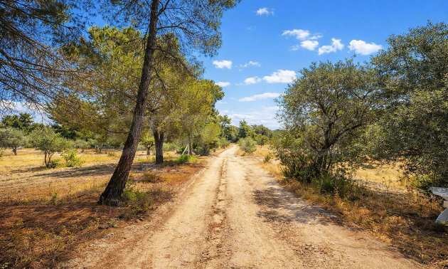 ������� ������ | Imot.bg � ����������� 10