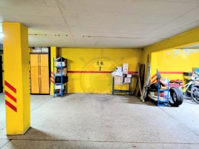 ����� ������� ����������,���� �����, ����� ������