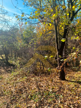 Spiknutí Ladovica, Pernik 2