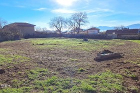 ����� ������� ������,�. �������, ������ �������