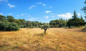 ������� ������ | Imot.bg � ����� ������ 14