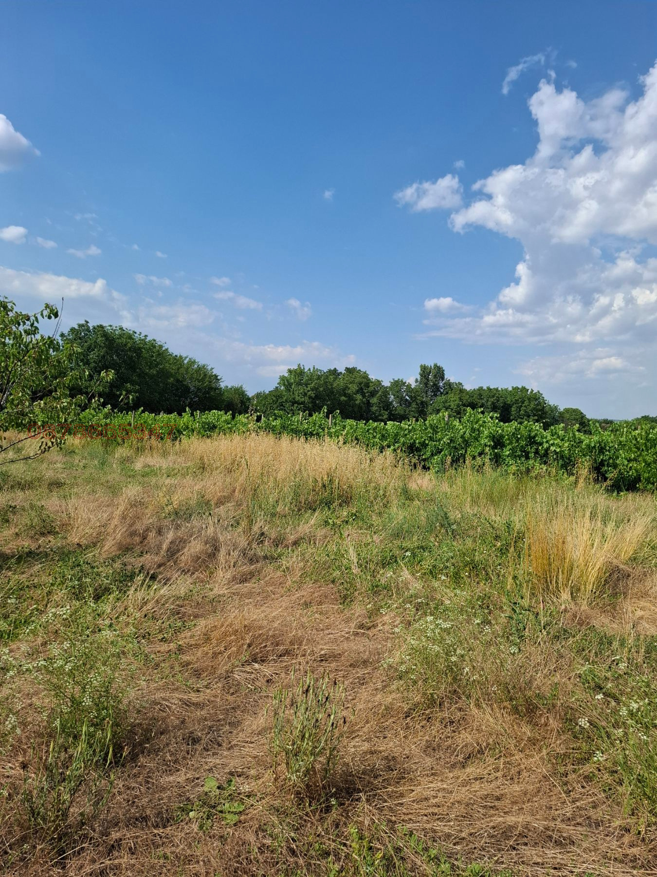 Продава ПАРЦЕЛ, с. Мененкьово, област Пазарджик, снимка 2 - Парцели - 55132264