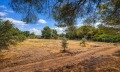 Продава ПАРЦЕЛ, Извън страната, област Извън страната, снимка 15