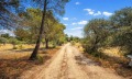Продава ПАРЦЕЛ, Извън страната, област Извън страната, снимка 10