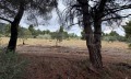 Продава ПАРЦЕЛ, Извън страната, област Извън страната, снимка 6