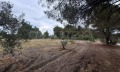 Продава ПАРЦЕЛ, Извън страната, област Извън страната, снимка 9