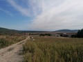 Продава ПАРЦЕЛ, с. Рогачево, област Добрич, снимка 3