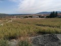 Продава ПАРЦЕЛ, с. Рогачево, област Добрич, снимка 2