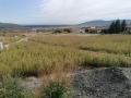 Продава ПАРЦЕЛ, с. Рогачево, област Добрич, снимка 1