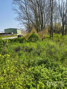 Плот Западна промишлена зона, Варна