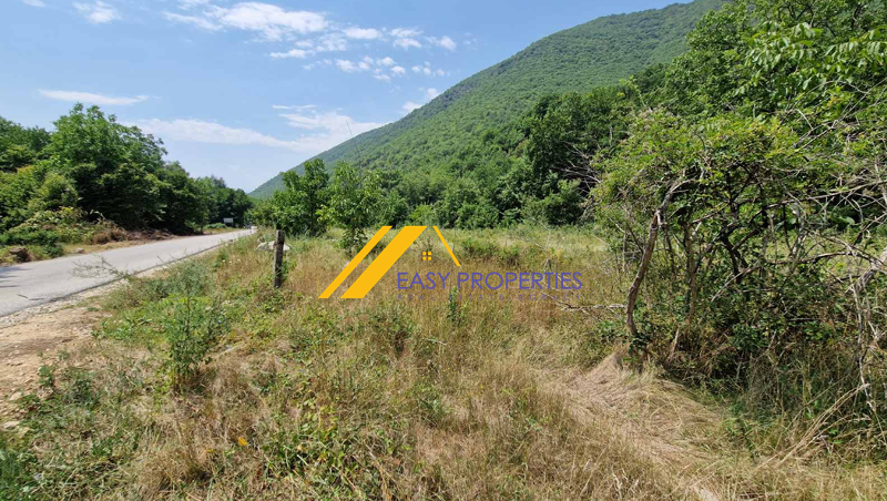 For Sale  Plot region Blagoevgrad , Lilyanovo , 3317 sq.m | 31317044 - image [2]