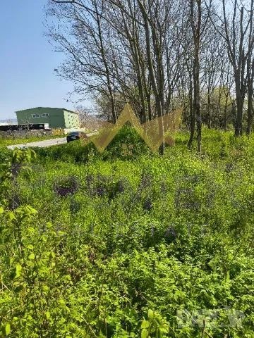 Na sprzedaż  Działka Warna , Zapadna promiszlena zona , 1000 mkw | 32451804
