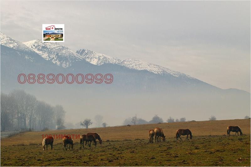 À vendre  Parcelle région Blagoevgrad , Godlevo , 9600 m² | 70012221