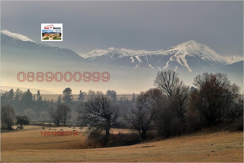 À vendre  Parcelle région Blagoevgrad , Godlevo , 9600 m² | 70012221 - image [2]